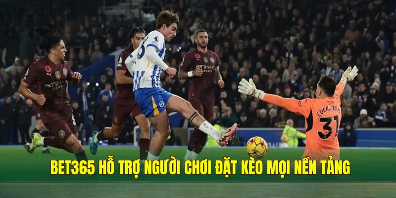 Thể Thao BET365 – Trải Nghiệm Cược Thể Thao Uy Tín Hàng Đầu